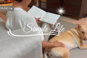 甜蜜生活记录：糖心Vlog带你探索生活的每一个角落