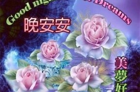 糖心晚安电台：温馨夜晚陪伴，在线收听安睡之声