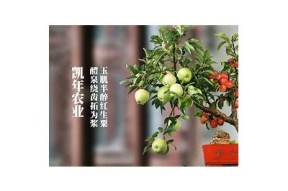 糖心官方在线免费观看，畅享精彩内容与全新体验
