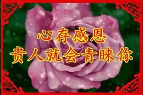 勿忘糖心：甜蜜爱情的记忆与承诺在线阅读