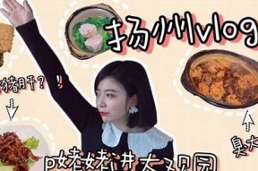 糖心Vlog官网价格揭秘：让你轻松了解最新优惠信息