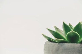 热爱糖心：一段甜蜜而温暖的爱情故事在线阅读