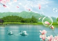 糖心宝贝全集在线观看 - 找到你喜欢的精彩剧集