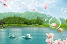 糖心宝贝全集在线观看 - 找到你喜欢的精彩剧集