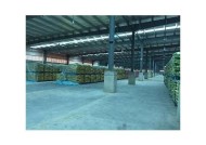 糖心污在线观看：高清免费在线播放，畅享优质内容