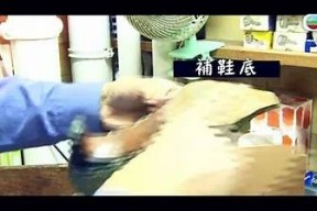 糖心唐伯虎在线：探索经典与创新的完美结合