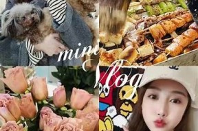 小包子糖心VLOG：探索甜蜜日常与美食之旅