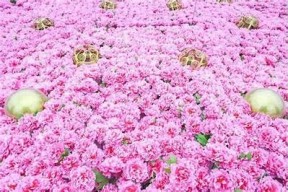 糖心糖果：甜蜜爱情与成长的奇幻冒险