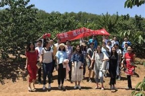 糖心旅行：带你探索甜蜜之旅的小说全本免费在线阅读