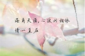 日光糖心：青涩爱情与成长的温暖旅程