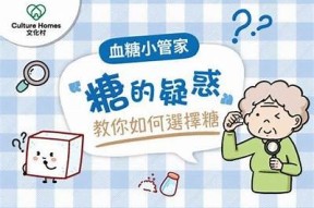 糖心多乙会计在线：高效管理财务、提升会计水平的智能平台
