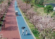 糖行心Vlog官网：分享甜蜜生活与心灵故事