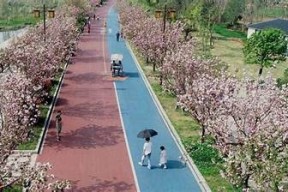 米菲兔糖心Vlog最新视频分享：可爱日常与甜蜜瞬间