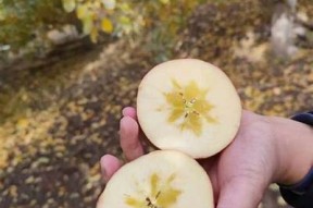 探秘国产糖心苹果的产地与特色，品味自然的甜蜜
