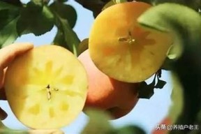 探索国产糖心苹果的有效促销策略与创新方法