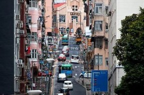 街头糖心小包子，随机路人品尝幸福味道