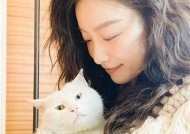国产糖心演员娜娜最新高清图片合集