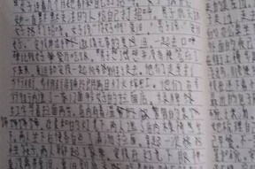 护心小说：撒糖甜蜜爱情故事在线阅读