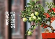 糖心妈妈玩具乐园全网免费在线观看，开启玩具探索之旅！