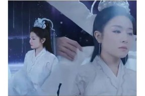 追星糖心：一个关于爱与梦想的甜蜜故事在线阅读
