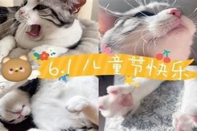 糖心猫宝宝在线观看：萌宠日常与精彩互动视频分享