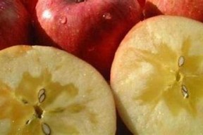 糖心APP官网在线下载入口：苹果用户专属下载链接分享