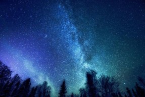探索国产九一网站糖心：全新体验与特色调查
