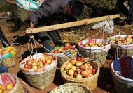 糖心一区泡沫：探索新兴动向与市场动态检视